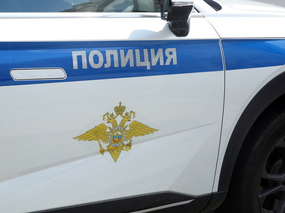 В Новосибирске раскрыта сеть контрафактного жевательного табака: полиция конфисковала товар на миллионы