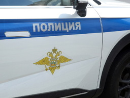 В Новосибирске раскрыта сеть контрафактного жевательного табака: полиция конфисковала товар на миллионы
