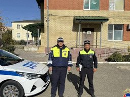 Госавтоинспекция Калмыкии превратила трассу в спасительный мост для орлянской семьи